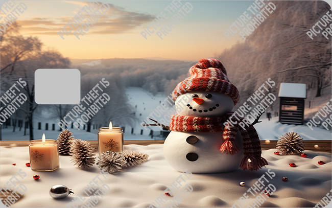 Bank  Card Sticker-BC-2794